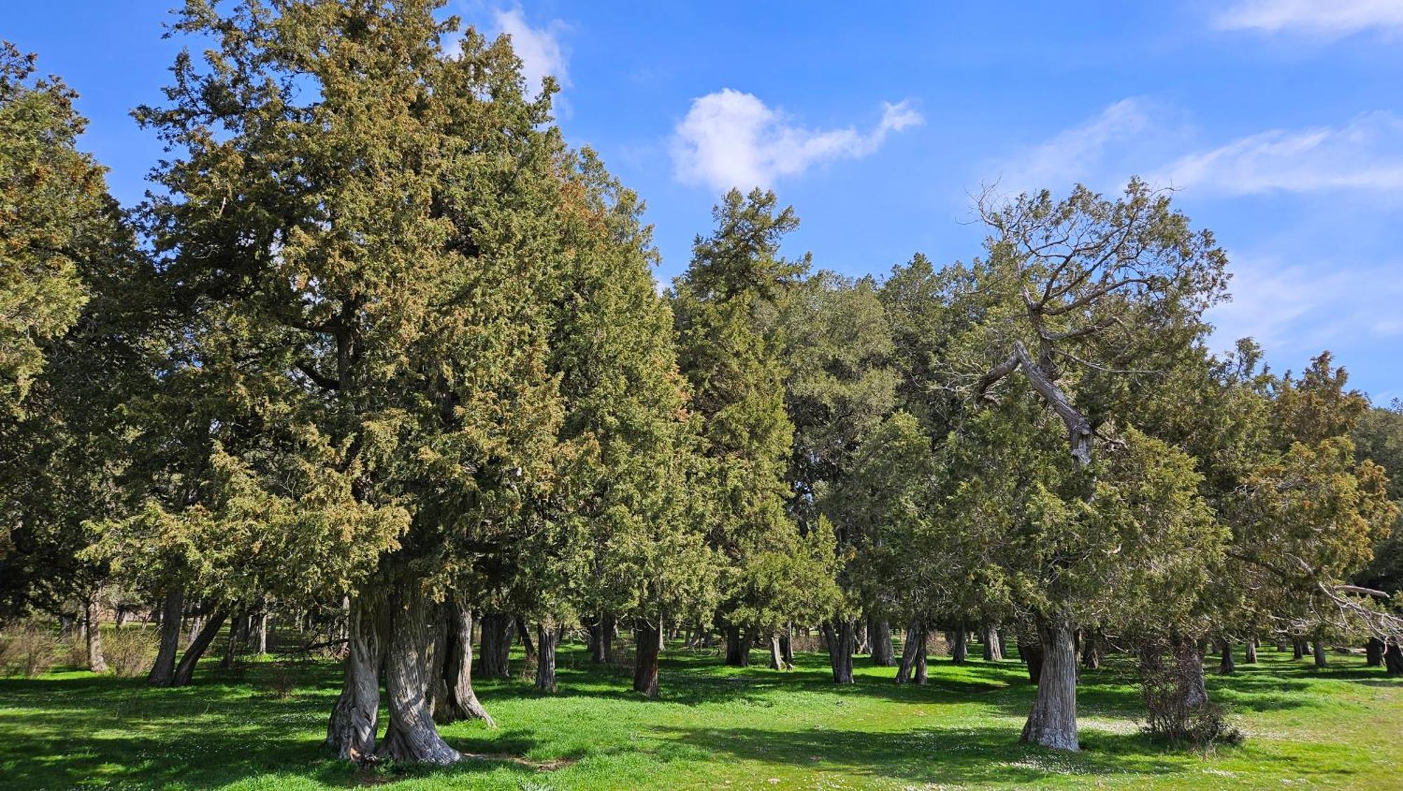 וינואסה Hotel Virginia R.H. מראה חיצוני תמונה